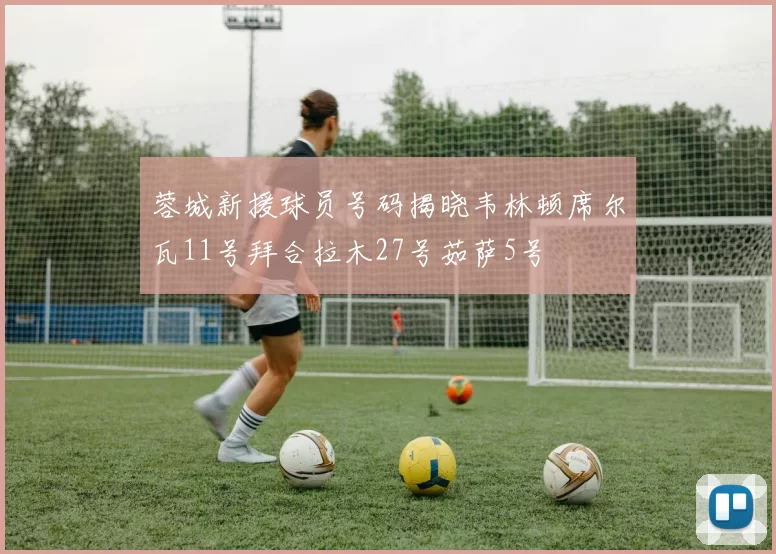 蓉城新援球员号码揭晓韦林顿席尔瓦11号拜合拉木27号茹萨5号