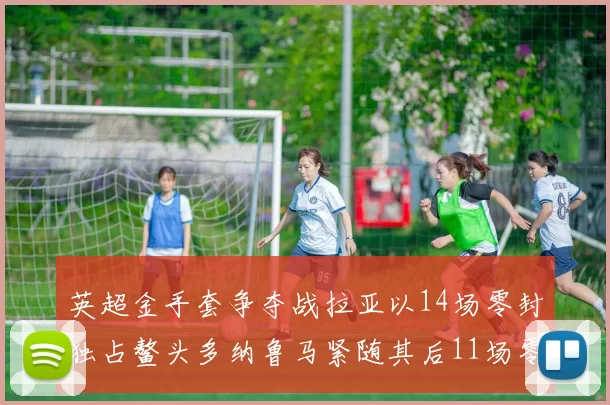 英超金手套争夺战拉亚以14场零封独占鳌头多纳鲁马紧随其后11场零封